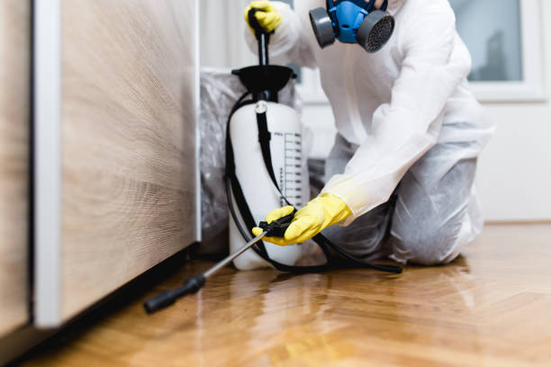 Best Mosquito Control Services  in Grandview, IL