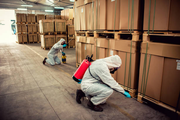 Best Cockroach Control Services  in Grandview, IL
