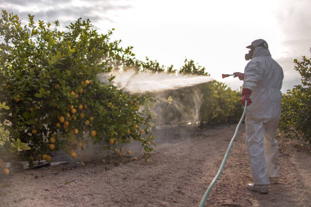 Best Pest Control Near Me  in Grandview, IL