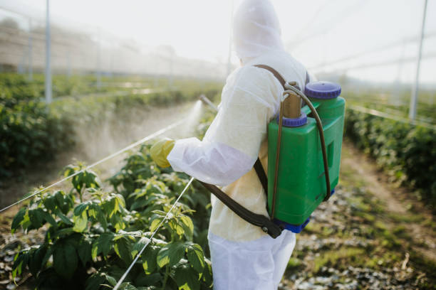 Insect Control in Grandview, IL